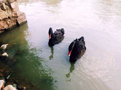 -天津东丽湖风景区