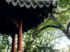 -秋霞圃