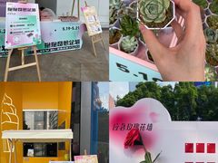 -VT101维多利广场