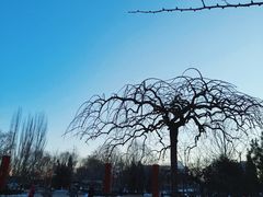 -长春市南湖公园