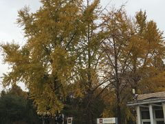 -北京工商大学(阜成路校区)