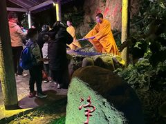 -印象普陀