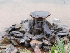 -四海公园(南山区)