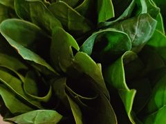 -南门四季铜锅涮肉(大屯·北苑店)