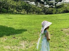 -南山植物园