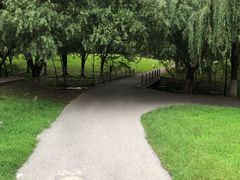 -长白岛森林公园