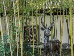 -龙潭水乡