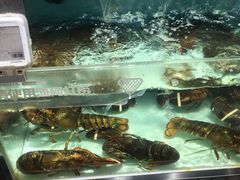 -盒马鲜生(顺义店)
