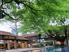 -喜洲吧·江畔老船厂·庭院餐厅(喜临院店)