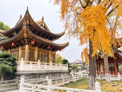 -上海东林寺(金山区)