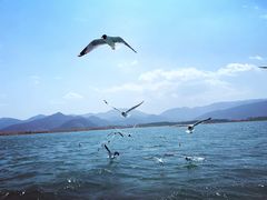 -丽江泸沽湖景区