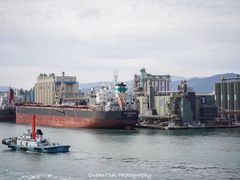 -福冈国际邮轮码头