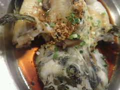 -ZF Seafood Restaurant 卓峰海鲜餐