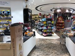 -谢列梅捷沃国际机场