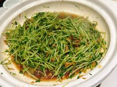 -刘胖子家常菜·蹄花焖藕(江汉路总店)