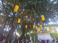 -河内西湖莲花自助餐厅