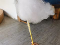 -宁波九龙湖开元度假村