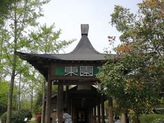 -东园小馆·早茶·淮扬小炒(宋夹城店)