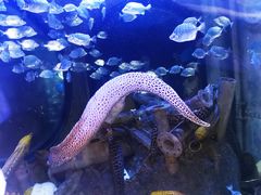 -成都浩海立方海洋公园