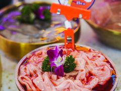 -钢管厂五区小郡肝火锅串串香(总店)