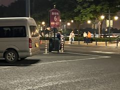 -迪士尼乐园停车场