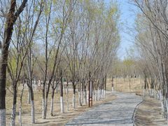 -西青郊野公园