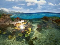 -福州罗源湾海洋世界旅游区