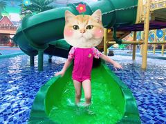 -沈阳龙润夏宫温泉水乐园