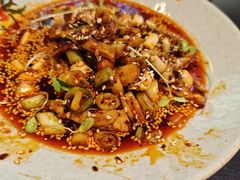 -院8里·小聚园老川菜(九眼桥店)