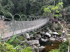 -海南热带雨林国家公园吊罗山景区