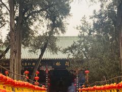 -关林