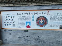 -护国法轮寺