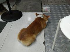 -小梁哥云吞面(黄贝岭店)