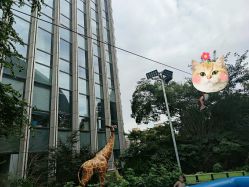 -可可天空农场(中大店)