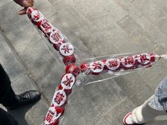 -滆湖低碳生态公园