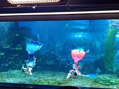 -顺德南宏海立方海洋公园
