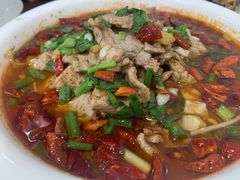 水煮肉片-凡老头米线砂锅(古荡新村西粮站)