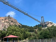 -西霞口神雕山野生动物世界