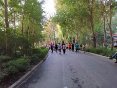 -长春公园(普阳街道)