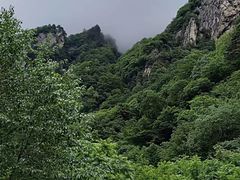 -青峰峡国家森林公园