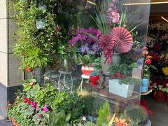 门面-静岸花卉园艺(三星坊店)