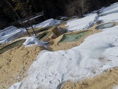 -黄龙山原始森林景区