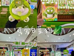 -哈尔滨热雪奇迹