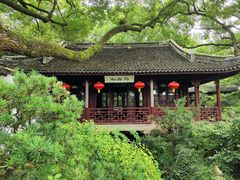 -上海醉白池公园