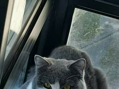 -安安宠医·安宠宠物医院