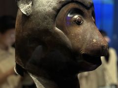 -广西壮族自治区博物馆