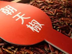 -锅儿匠辣子鸡(春熙路店)