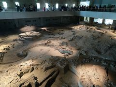 -自贡恐龙博物馆