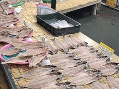 -西归浦每天偶来市场
