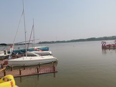 -西青郊野公园